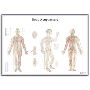 Picture of Body Acupuncture Chart