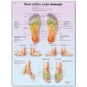 Picture of Foot Reflex Zone Massage Chart