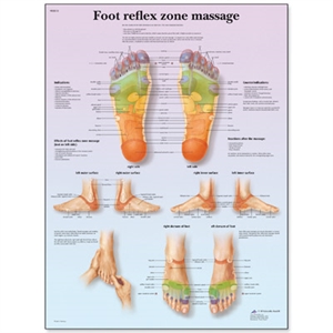 Picture of Foot Reflex Zone Massage Chart