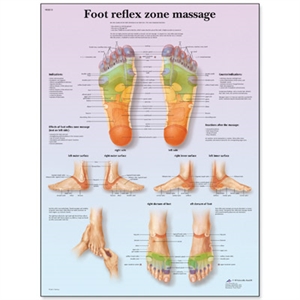 Picture of Χάρτης ρεφλεξολογίας ποδιού